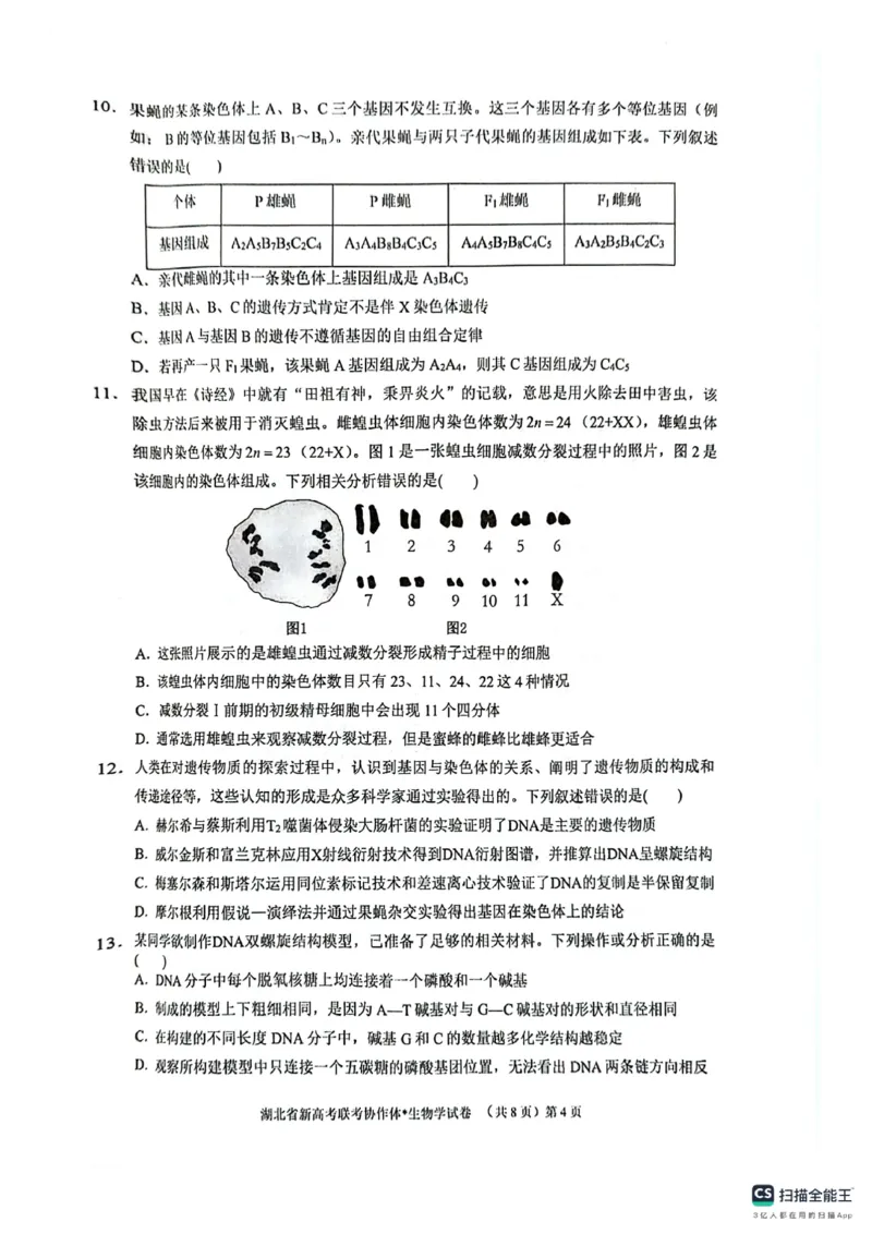 湖北省新高考联考协作体2024-2025学年高二上学期开学考试生物+答案_2024-2025高二（7-7月题库）_2024年09月试卷_0914湖北省新高考联考协作体2024-2025学年高二上学期开学考试