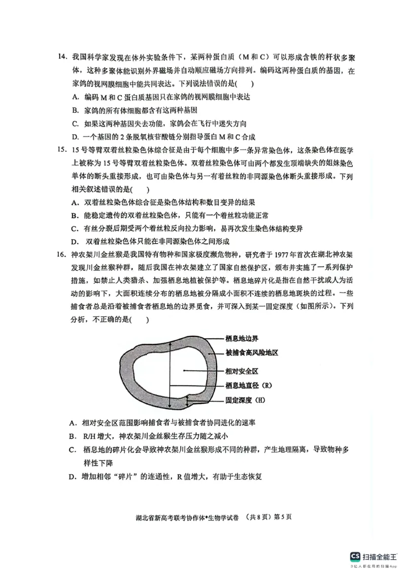 湖北省新高考联考协作体2024-2025学年高二上学期开学考试生物+答案_2024-2025高二（7-7月题库）_2024年09月试卷_0914湖北省新高考联考协作体2024-2025学年高二上学期开学考试