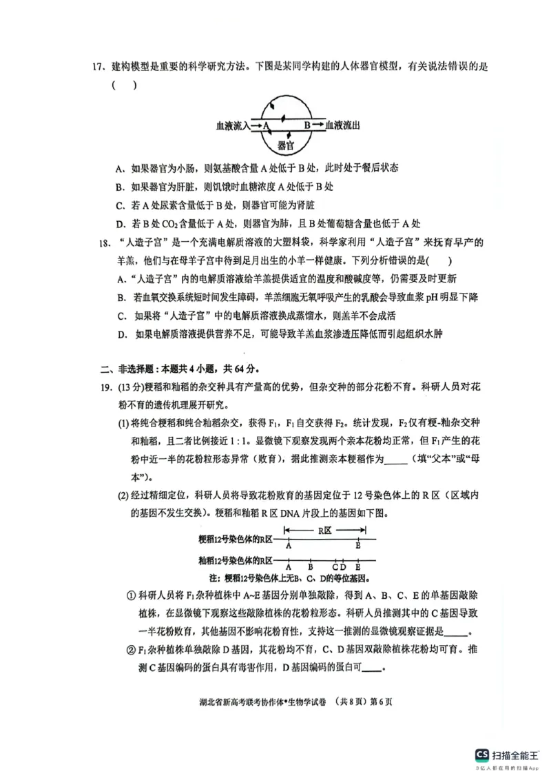湖北省新高考联考协作体2024-2025学年高二上学期开学考试生物+答案_2024-2025高二（7-7月题库）_2024年09月试卷_0914湖北省新高考联考协作体2024-2025学年高二上学期开学考试