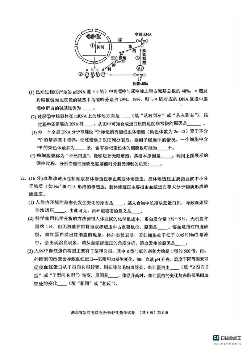 湖北省新高考联考协作体2024-2025学年高二上学期开学考试生物+答案_2024-2025高二（7-7月题库）_2024年09月试卷_0914湖北省新高考联考协作体2024-2025学年高二上学期开学考试