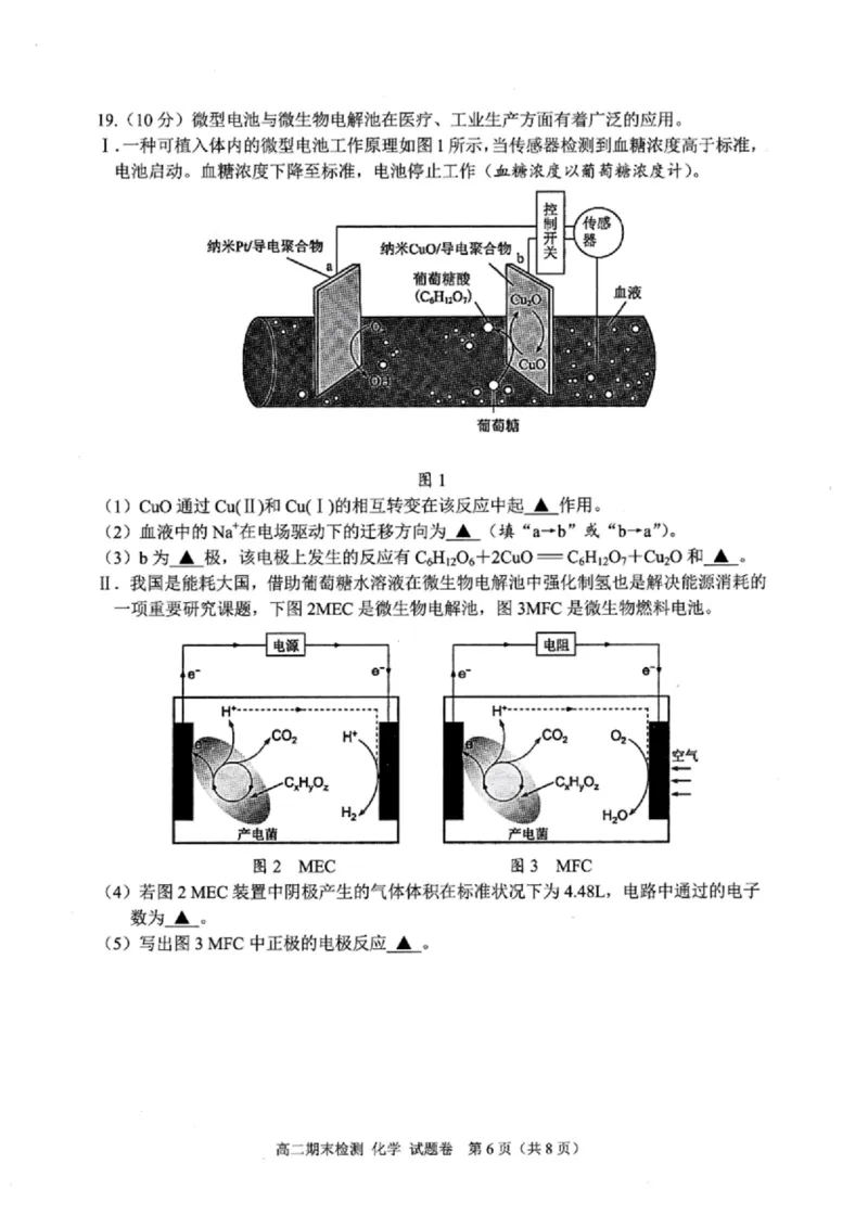 浙江省嘉兴市2024-2025学年高二上学期期末测试化学PDF版含答案_2024-2025高二（7-7月题库）_2025年02月试卷_0227浙江省嘉兴市2024-2025学年高二上学期期末测试
