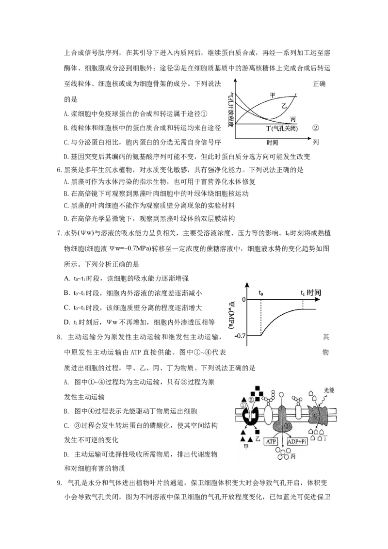山东省济宁市邹城市第一中学2024-2025学年高二下学期5月月考生物试题（含答案）_2024-2025高二（7-7月题库）_2025年6月试卷_0609山东省济宁市邹城市第一中学2024-2025学年高二下学期5月月考