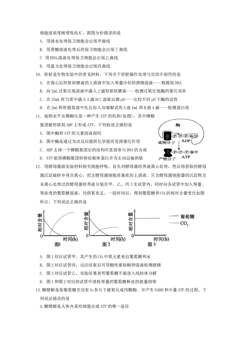 山东省济宁市邹城市第一中学2024-2025学年高二下学期5月月考生物试题（含答案）_2024-2025高二（7-7月题库）_2025年6月试卷_0609山东省济宁市邹城市第一中学2024-2025学年高二下学期5月月考