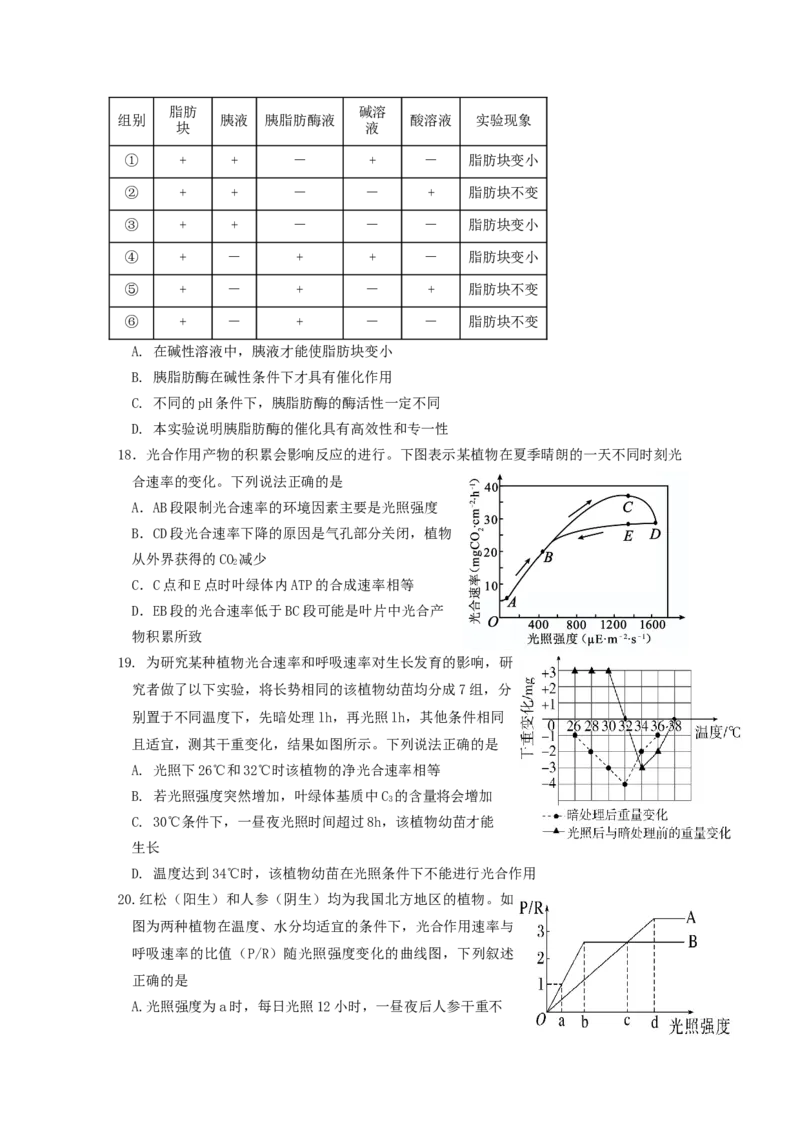 山东省济宁市邹城市第一中学2024-2025学年高二下学期5月月考生物试题（含答案）_2024-2025高二（7-7月题库）_2025年6月试卷_0609山东省济宁市邹城市第一中学2024-2025学年高二下学期5月月考