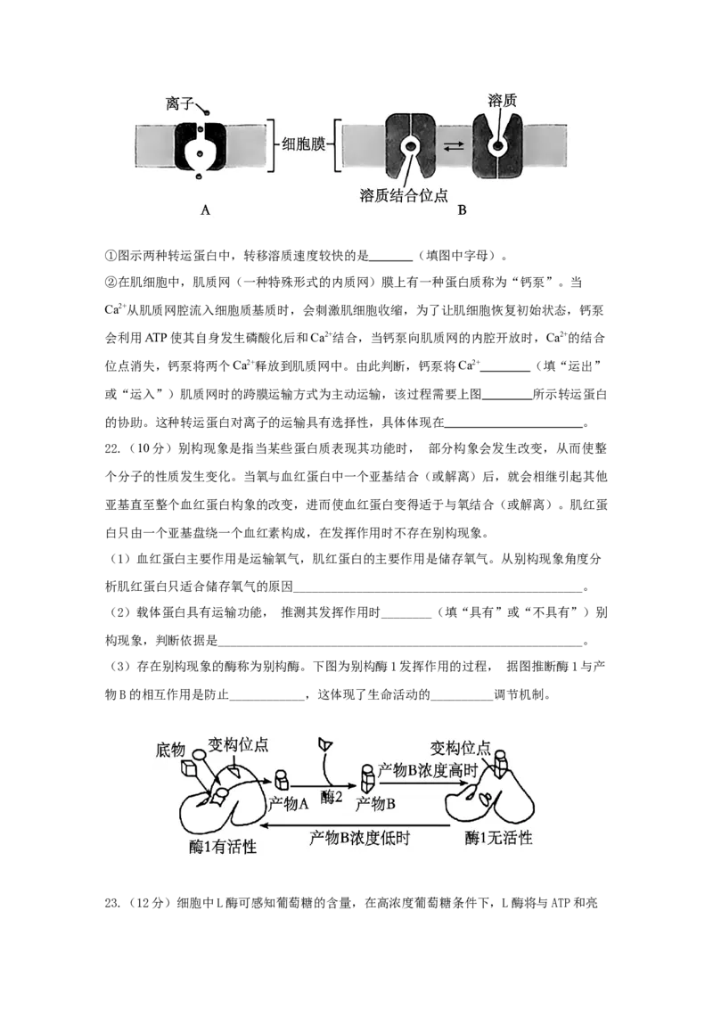 山东省济宁市邹城市第一中学2024-2025学年高二下学期5月月考生物试题（含答案）_2024-2025高二（7-7月题库）_2025年6月试卷_0609山东省济宁市邹城市第一中学2024-2025学年高二下学期5月月考