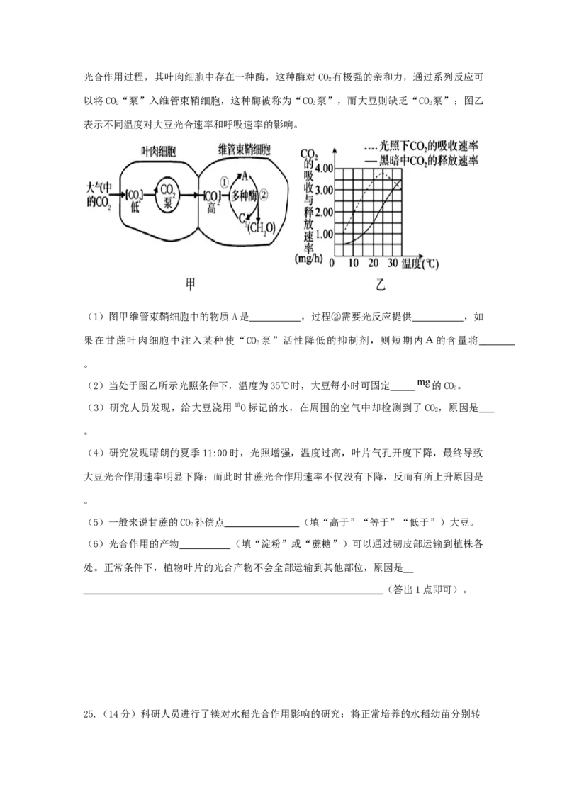 山东省济宁市邹城市第一中学2024-2025学年高二下学期5月月考生物试题（含答案）_2024-2025高二（7-7月题库）_2025年6月试卷_0609山东省济宁市邹城市第一中学2024-2025学年高二下学期5月月考