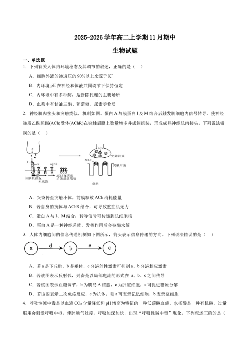 江苏省常州高级中学2025-2026学年高二上学期期中考试生物Word版含答案_2024-2025高二（7-7月题库）_2026年1月高二_260112江苏省常州高级中学2025-2026学年高二上学期期中考试