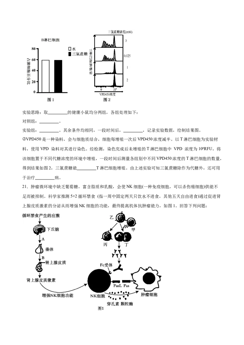 江苏省常州高级中学2025-2026学年高二上学期期中考试生物Word版含答案_2024-2025高二（7-7月题库）_2026年1月高二_260112江苏省常州高级中学2025-2026学年高二上学期期中考试