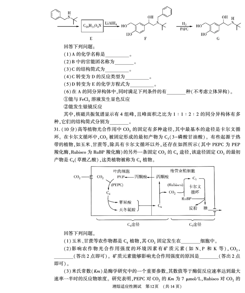 理综_2024年3月_013月合集_2024届河南省普通高中毕业班高考适应性测试3月_2024届河南省普通高中毕业班高考适应性测试3月-理综试题