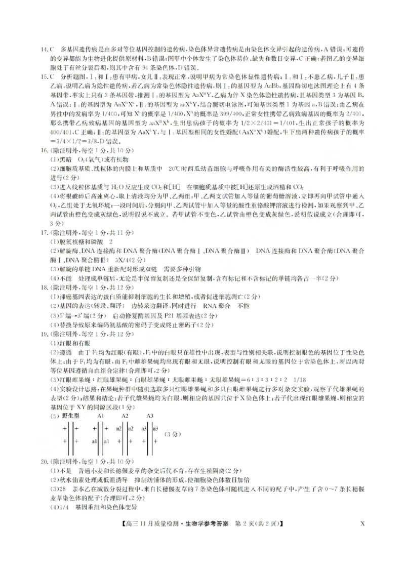 安徽省九师联盟2024届高三11月质量检测生物答案(1)_2023年11月_01每日更新_30号_2024届安徽省九师联盟高三11月质量检测