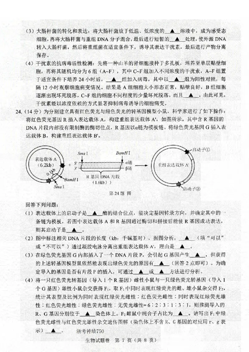 生物卷-2403温州二模_2024年3月_013月合集_2024届浙江省温州市普通高中高三第二次适应性考试（温州二模）_浙江省温州市普通高中2024届高三第二次适应性考试（温州二模）生物