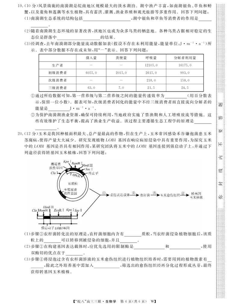 安徽省&ldquo;皖南八校&rdquo;2025届高三第三次大联考生物_2024-2026高三（6-6月题库）_2025年04月试卷_0420安徽省2025届皖南八校高三第三次大联考