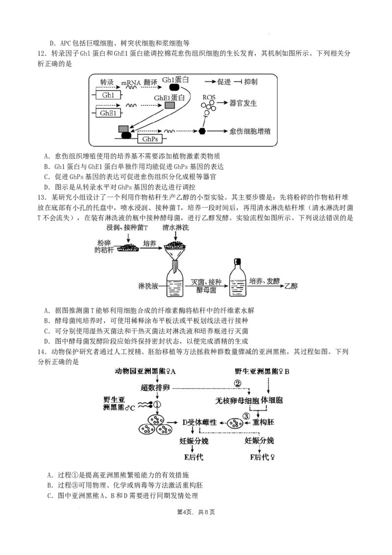 四川省成都市石室中学2024-2025学年高三上学期期中考试生物_2024-2025高三（6-6月题库）_2024年11月试卷_1130四川省成都市石室中学2025届高三11月期中考试（全科）