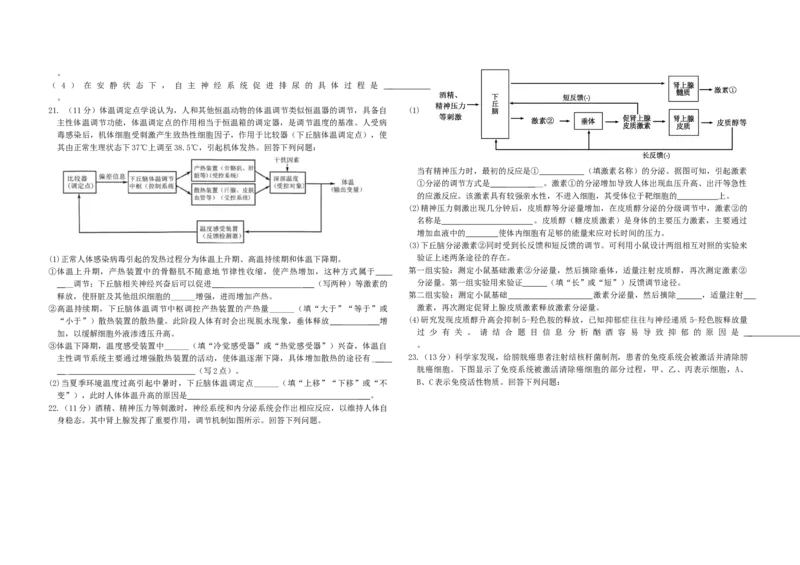 10月底考试(1)_2025年11月高二试卷_251104河北省保定市四校2025-2026学年高二上学期10月月考（全）_河北省保定市四校2025-2026学年高二上学期10月期中生物试题（含答案）