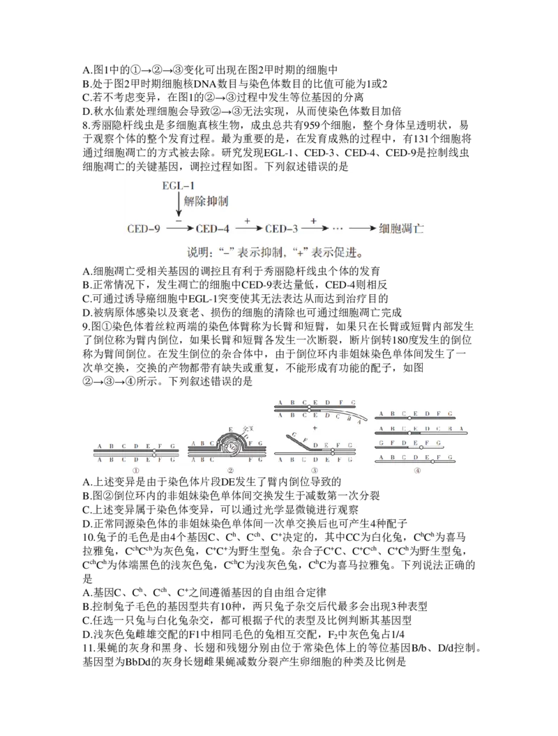 山东省临沂市2024届高三11月教学质量检测考试生物(1)_2023年11月_01每日更新_23号_2024届山东省临沂市高三11月教学质量检测考试