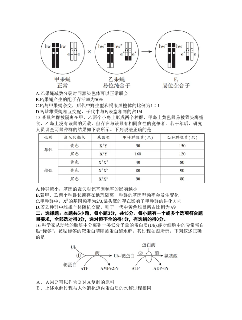 山东省临沂市2024届高三11月教学质量检测考试生物(1)_2023年11月_01每日更新_23号_2024届山东省临沂市高三11月教学质量检测考试