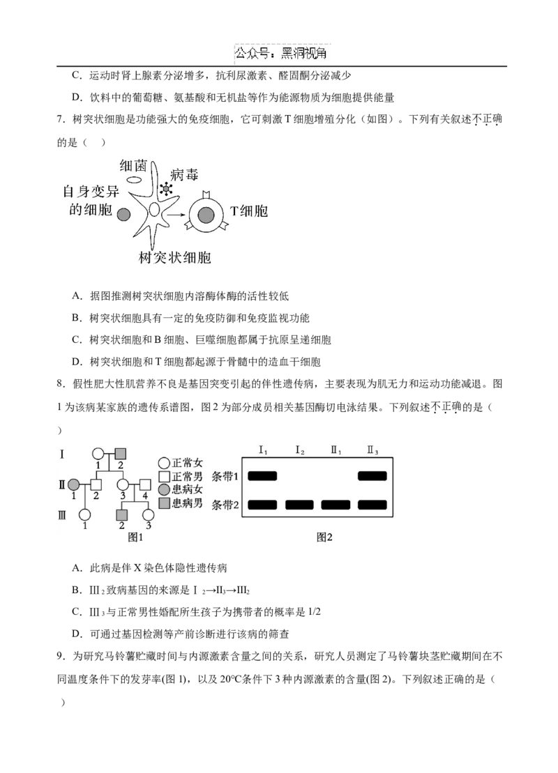 广东省广州外国语、广大附中、铁一中学等三校2024-2025学年高三上学期期中联考试题生物Word版含答案_2024-2025高三（6-6月题库）_2024年11月试卷