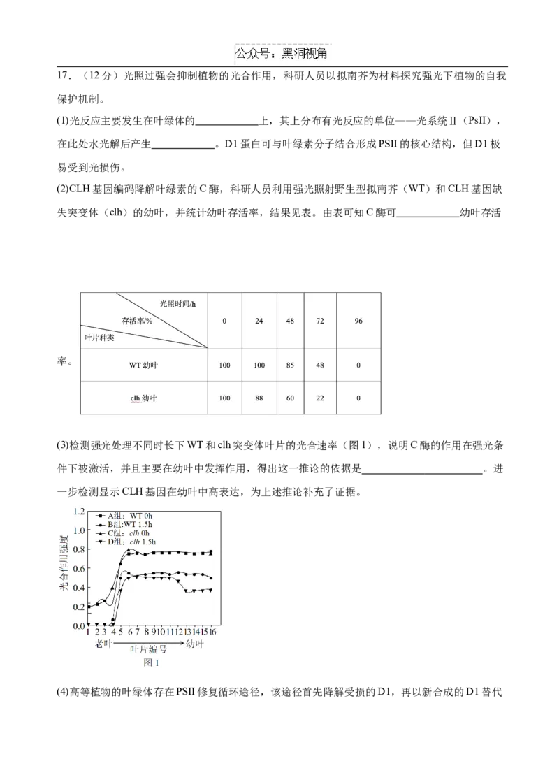 广东省广州外国语、广大附中、铁一中学等三校2024-2025学年高三上学期期中联考试题生物Word版含答案_2024-2025高三（6-6月题库）_2024年11月试卷