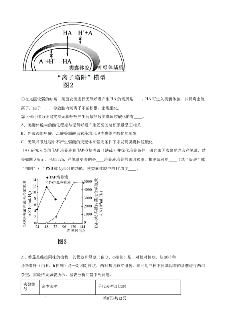 江苏省高邮市2024-2025学年2025届高三（上）学期10月学情调研测试生物试卷_2024-2025高三（6-6月题库）_2024年10月试卷_1021江苏省高邮市2024-2025学年2025届高三（上）学期10月学情调研测试