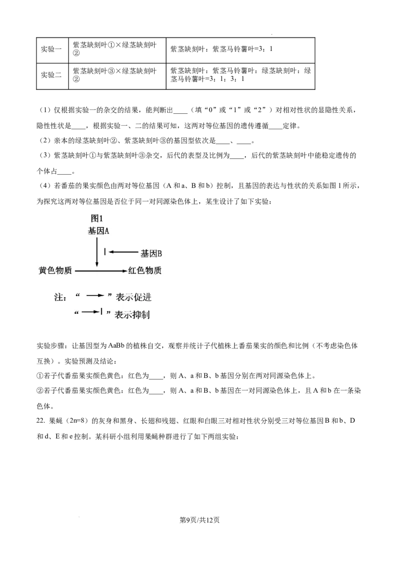江苏省高邮市2024-2025学年2025届高三（上）学期10月学情调研测试生物试卷_2024-2025高三（6-6月题库）_2024年10月试卷_1021江苏省高邮市2024-2025学年2025届高三（上）学期10月学情调研测试