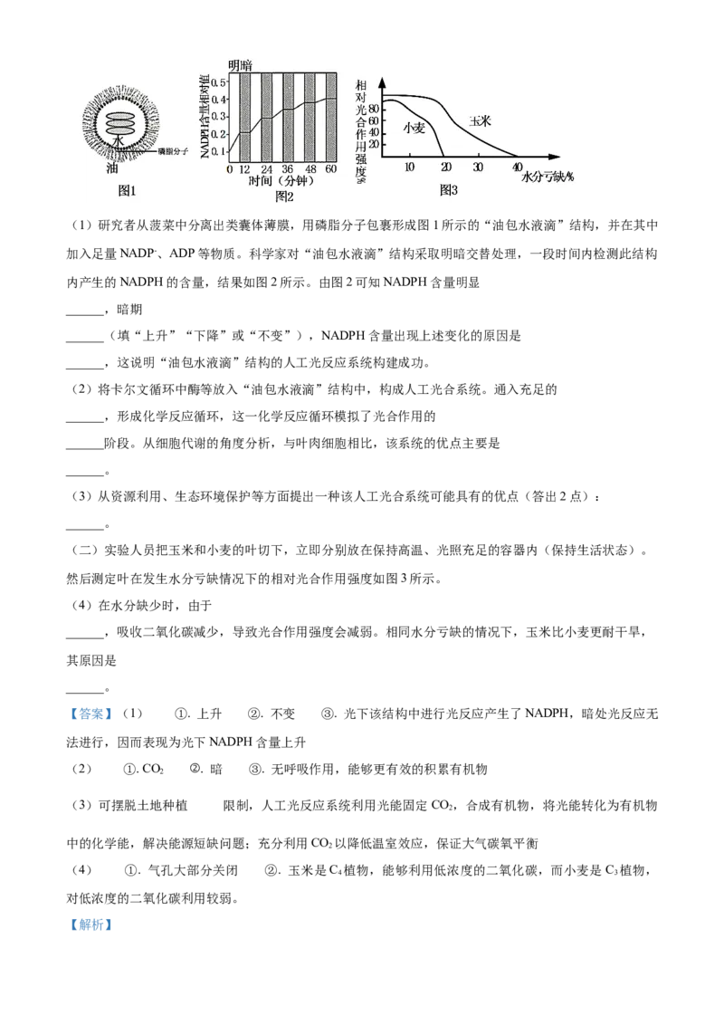 江苏省句容三中、海安实验中学联考2023-2024学年高三10月月考生物试题（解析版）(1)_2023年11月_0211月合集_2024届江苏省句容市三中、海安市实验中学高三10月联考
