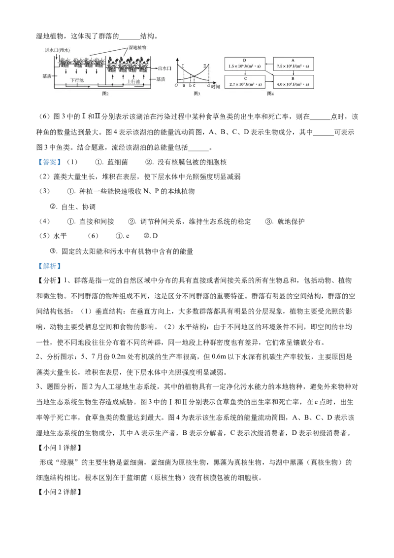 江苏省句容三中、海安实验中学联考2023-2024学年高三10月月考生物试题（解析版）(1)_2023年11月_0211月合集_2024届江苏省句容市三中、海安市实验中学高三10月联考