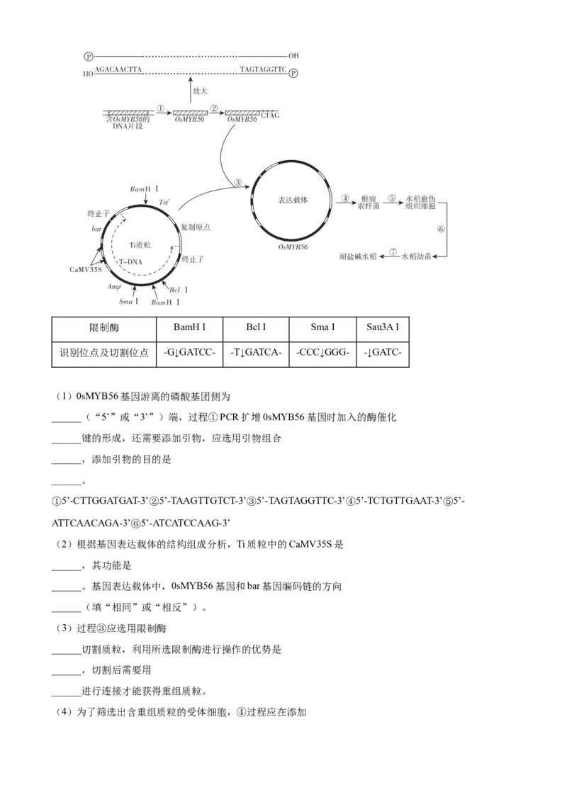 江苏省句容三中、海安实验中学联考2023-2024学年高三10月月考生物试题（解析版）(1)_2023年11月_0211月合集_2024届江苏省句容市三中、海安市实验中学高三10月联考