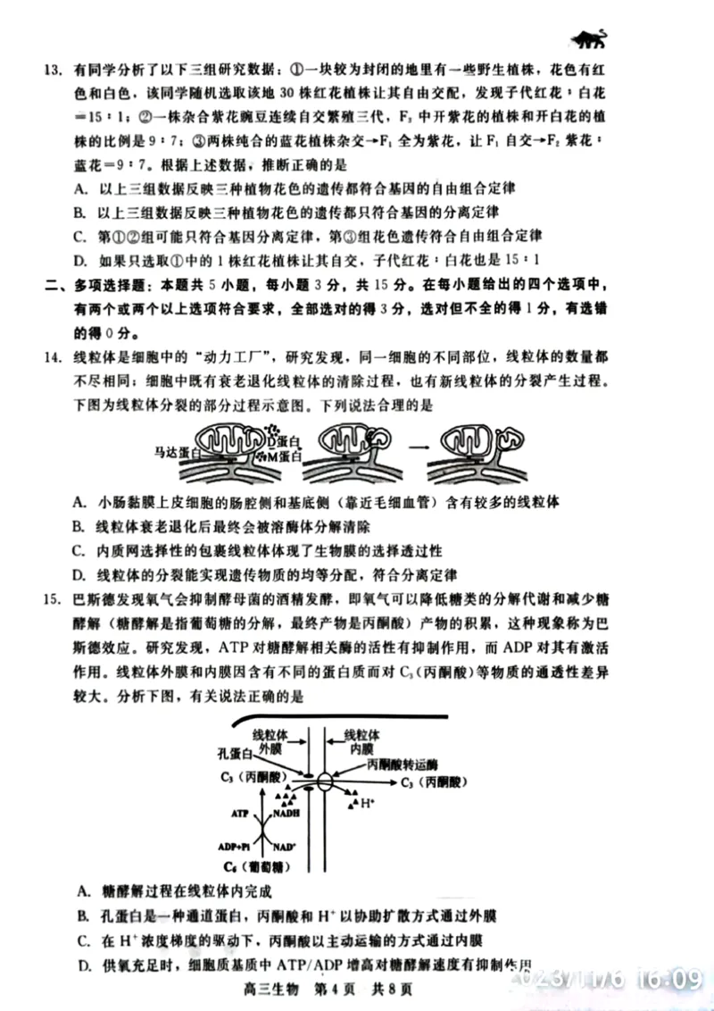 河北省新时代NT教育2023-2024学年第一学期11月高三阶段测试卷生物(1)_2023年11月_0211月合集_2024届河北省新时代NT教育第一学期11月高三阶段测试卷