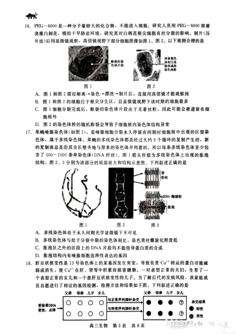 河北省新时代NT教育2023-2024学年第一学期11月高三阶段测试卷生物(1)_2023年11月_0211月合集_2024届河北省新时代NT教育第一学期11月高三阶段测试卷