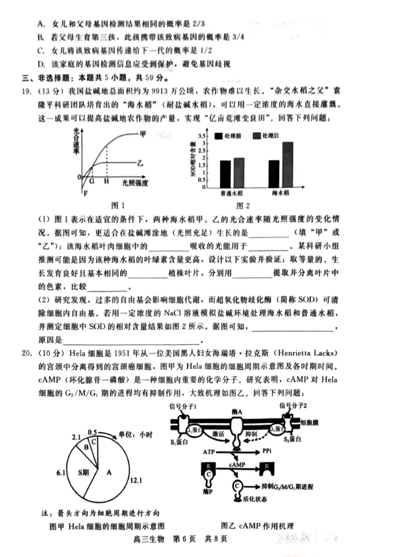河北省新时代NT教育2023-2024学年第一学期11月高三阶段测试卷生物(1)_2023年11月_0211月合集_2024届河北省新时代NT教育第一学期11月高三阶段测试卷