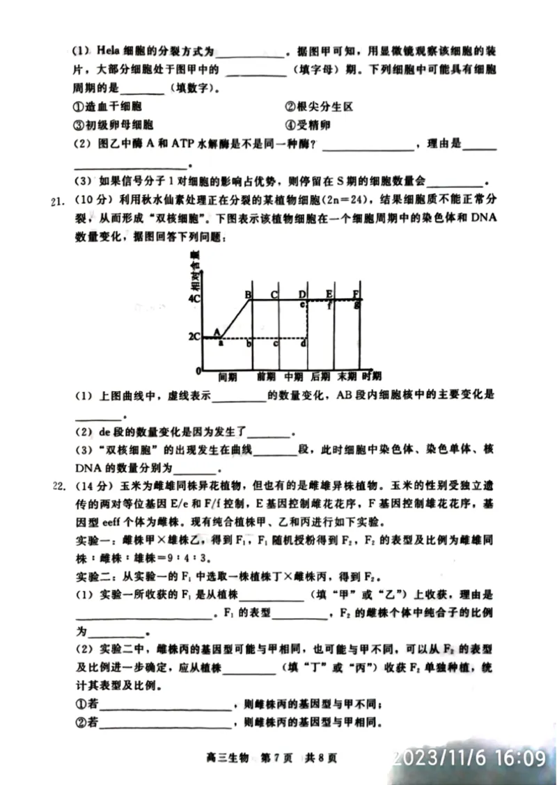 河北省新时代NT教育2023-2024学年第一学期11月高三阶段测试卷生物(1)_2023年11月_0211月合集_2024届河北省新时代NT教育第一学期11月高三阶段测试卷