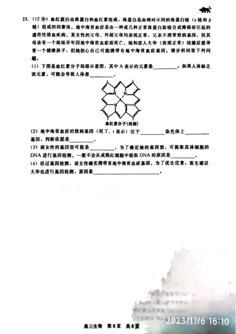 河北省新时代NT教育2023-2024学年第一学期11月高三阶段测试卷生物(1)_2023年11月_0211月合集_2024届河北省新时代NT教育第一学期11月高三阶段测试卷