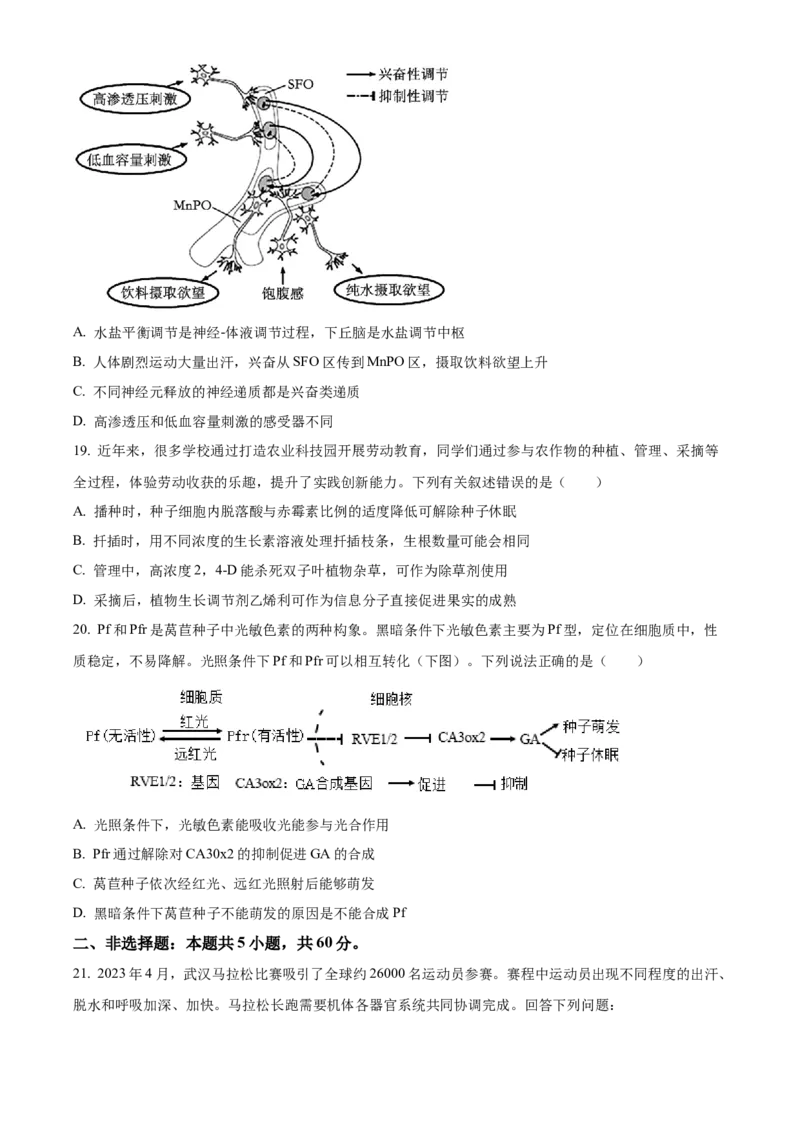 湖南省衡阳市衡阳县部分学校2024--2025学年高二上学期第一次月考生物测评卷（A卷）Word版无答案_2024-2025高二（7-7月题库）_2024年10月试卷