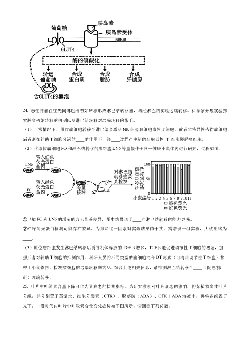 湖南省衡阳市衡阳县部分学校2024--2025学年高二上学期第一次月考生物测评卷（A卷）Word版无答案_2024-2025高二（7-7月题库）_2024年10月试卷