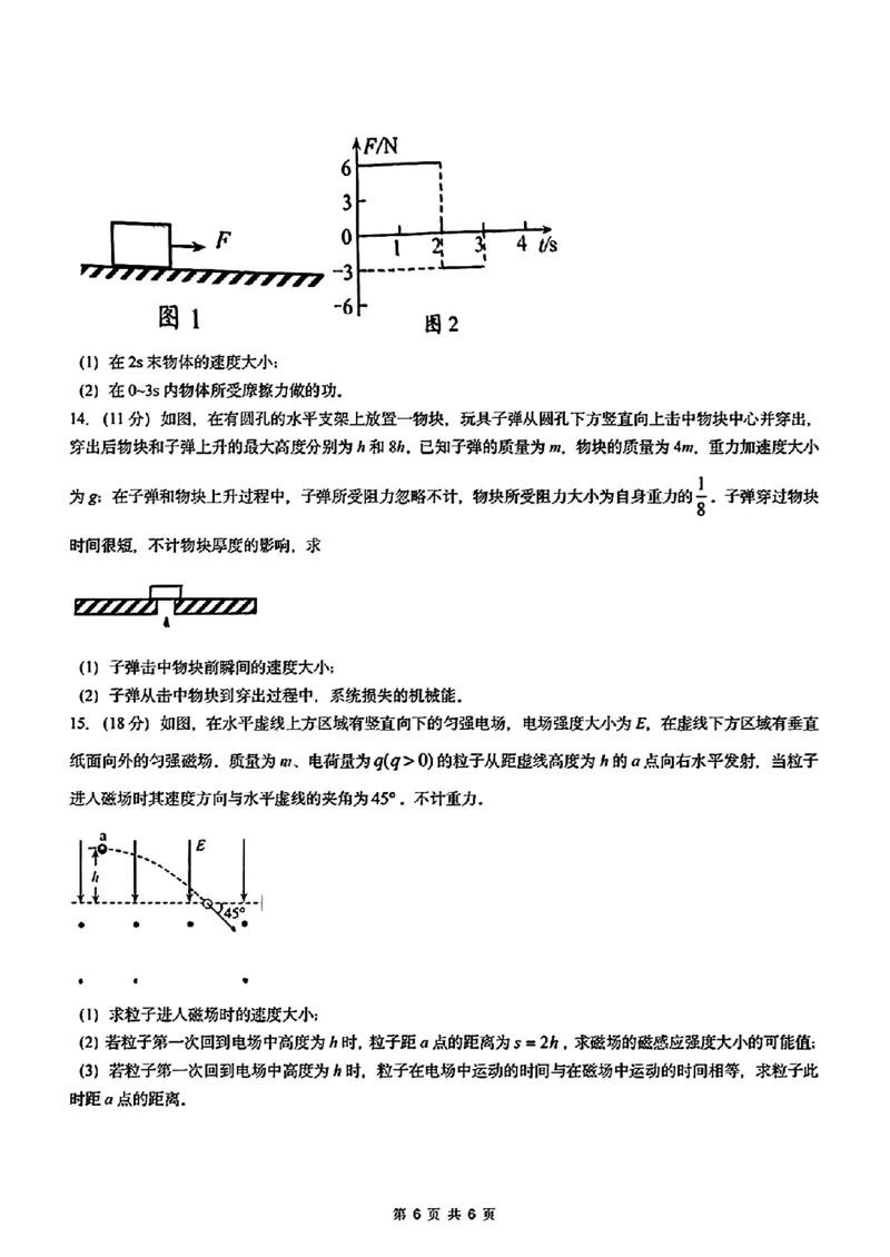 八省2025年高考综合改革适应性演练联考-物理试卷（河南卷）_2024-2025高三（6-6月题库）_2025年01月试卷