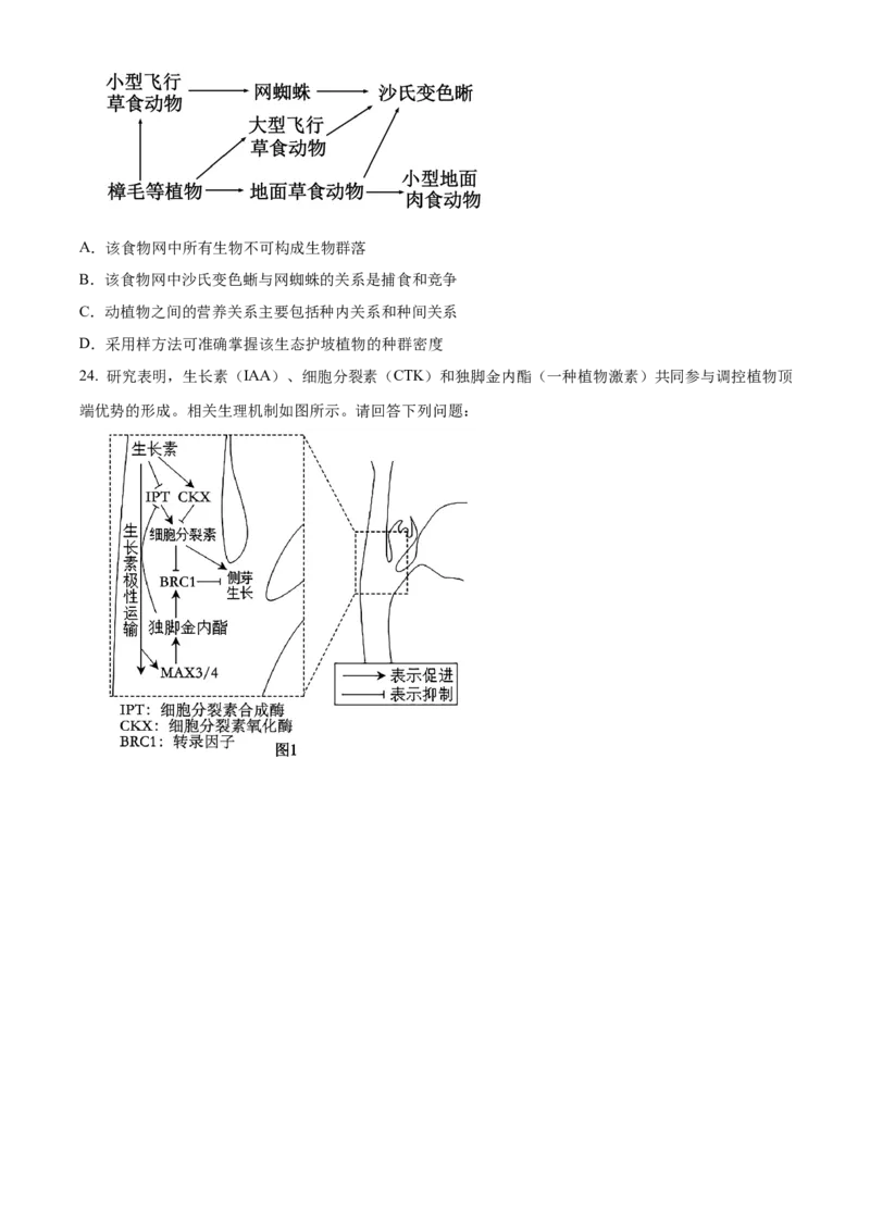 江苏省连云港市灌南县2024-2025学年高二上学期11月期中生物试题Word版无答案_2024-2025高二（7-7月题库）_2024年12月试卷_1213江苏省连云港市灌南县2024-2025学年高二上学期11月期中考试