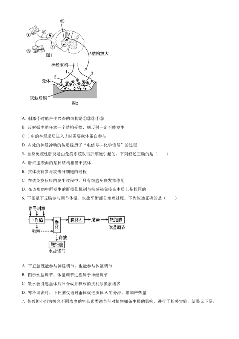 江苏省连云港市灌南县2024-2025学年高二上学期11月期中生物试题Word版无答案_2024-2025高二（7-7月题库）_2024年12月试卷_1213江苏省连云港市灌南县2024-2025学年高二上学期11月期中考试