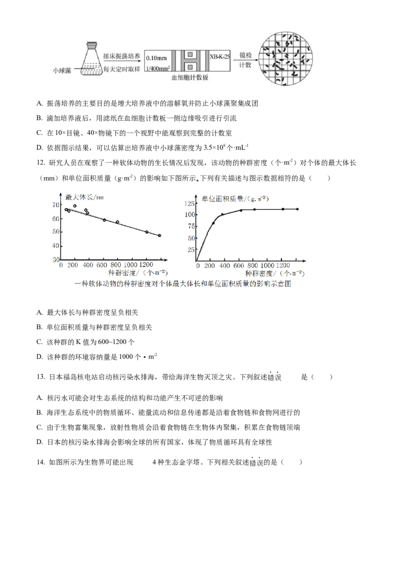 江苏省连云港市灌南县2024-2025学年高二上学期11月期中生物试题Word版无答案_2024-2025高二（7-7月题库）_2024年12月试卷_1213江苏省连云港市灌南县2024-2025学年高二上学期11月期中考试