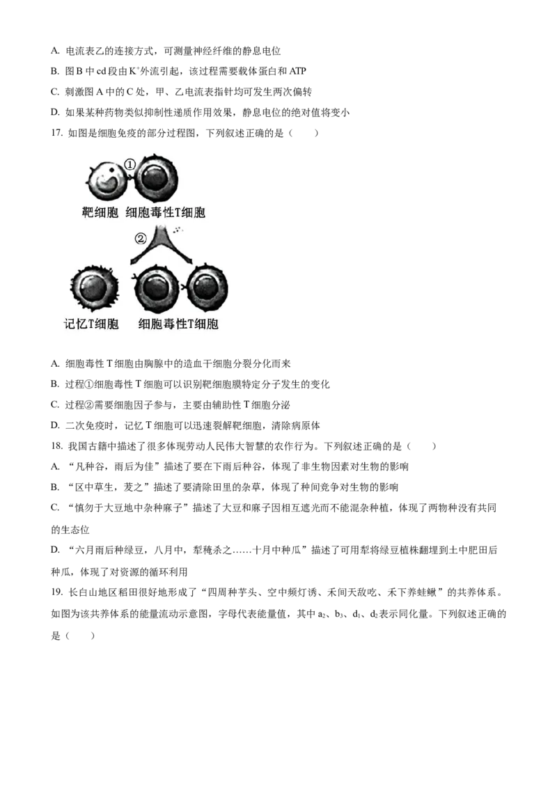 江苏省连云港市灌南县2024-2025学年高二上学期11月期中生物试题Word版无答案_2024-2025高二（7-7月题库）_2024年12月试卷_1213江苏省连云港市灌南县2024-2025学年高二上学期11月期中考试