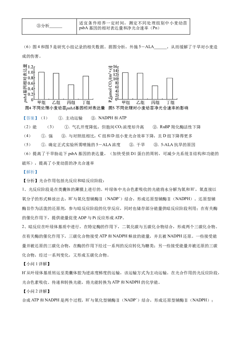 精品解析：江苏省南京市江宁区等5地2023-2024学年高三下学期开学生物试题（解析版）_2024年3月_013月合集_2024届江苏省南京市六校高三下学期期初联合调研