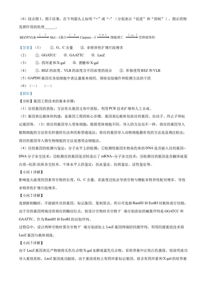 精品解析：江苏省南京市江宁区等5地2023-2024学年高三下学期开学生物试题（解析版）_2024年3月_013月合集_2024届江苏省南京市六校高三下学期期初联合调研