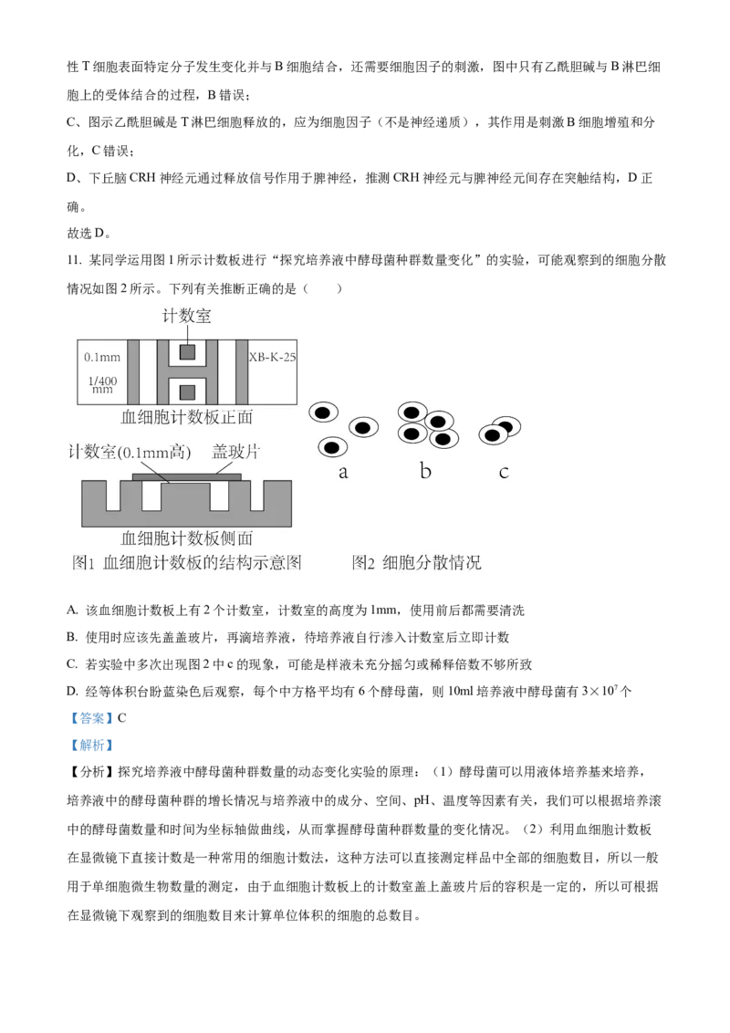 精品解析：江苏省南京市江宁区等5地2023-2024学年高三下学期开学生物试题（解析版）_2024年3月_013月合集_2024届江苏省南京市六校高三下学期期初联合调研