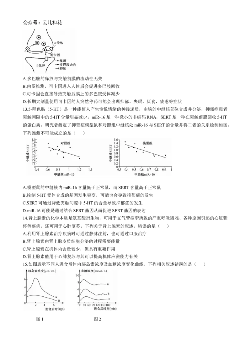 湖北省宜昌市协作体2024-2025学年高二上学期期中考试生物试题_2024-2025高二（7-7月题库）_2024年11月试卷_1110湖北省宜昌市协作体2024-2025学年高二上学期期中考试