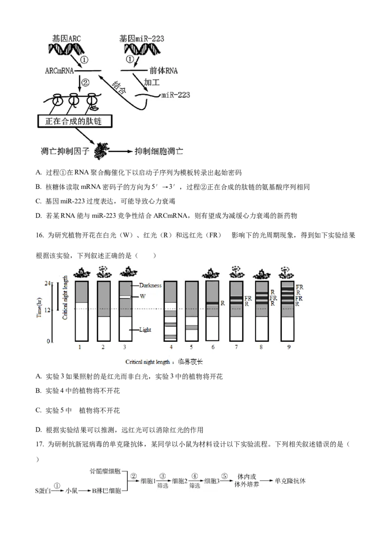 精品解析：江苏省南京市江宁区等5地2023-2024学年高三下学期开学生物试题（原卷版）_2024年3月_013月合集_2024届江苏省南京市六校高三下学期期初联合调研