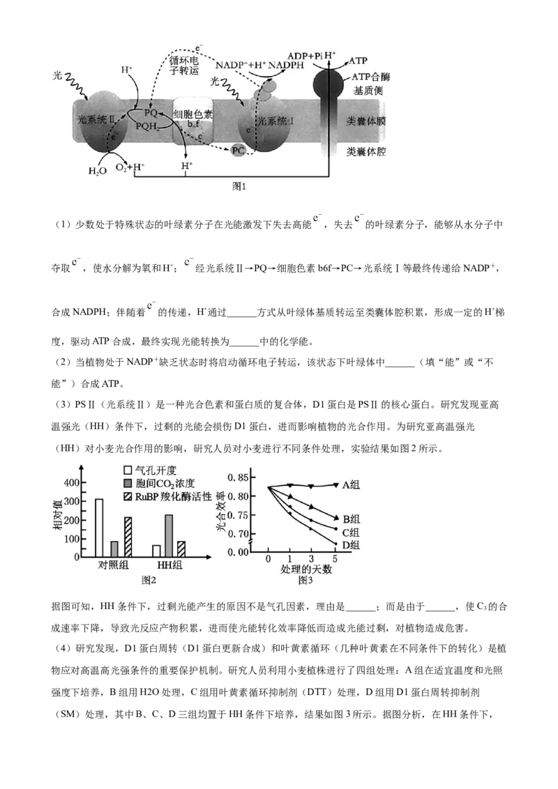 精品解析：江苏省南京市江宁区等5地2023-2024学年高三下学期开学生物试题（原卷版）_2024年3月_013月合集_2024届江苏省南京市六校高三下学期期初联合调研