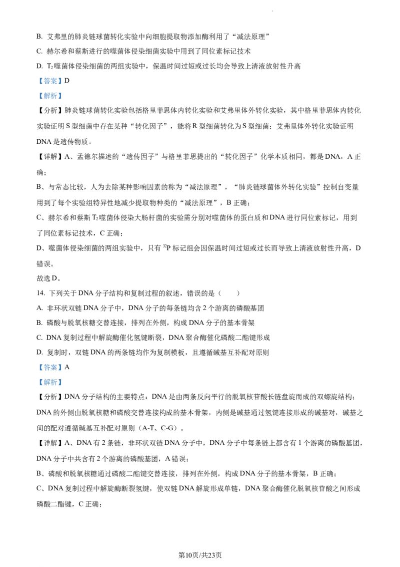 精品解析：辽宁省丹东市2023-2024学年高三11月阶段测试生物试题（解析版）(1)_2023年11月_0211月合集_2024届辽宁省丹东市高三11月总复习阶段测试
