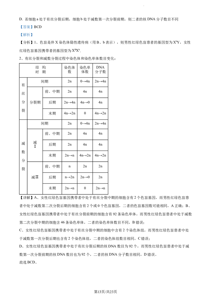 精品解析：辽宁省丹东市2023-2024学年高三11月阶段测试生物试题（解析版）(1)_2023年11月_0211月合集_2024届辽宁省丹东市高三11月总复习阶段测试