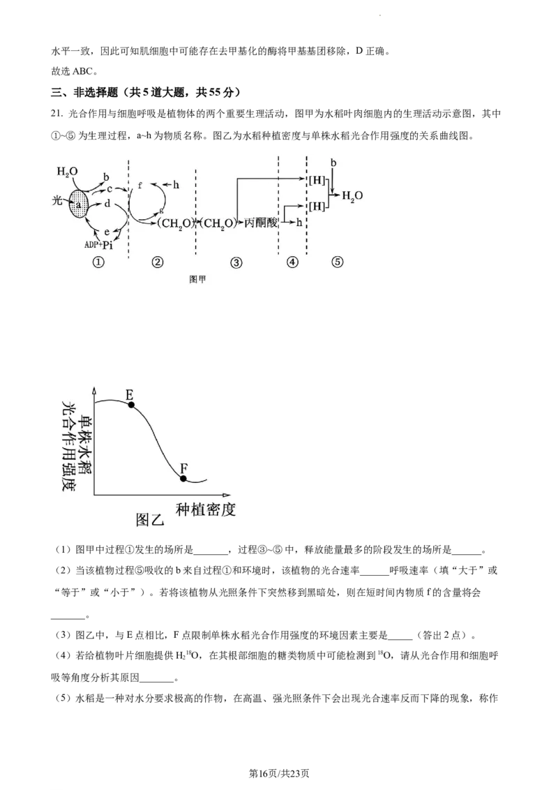 精品解析：辽宁省丹东市2023-2024学年高三11月阶段测试生物试题（解析版）(1)_2023年11月_0211月合集_2024届辽宁省丹东市高三11月总复习阶段测试