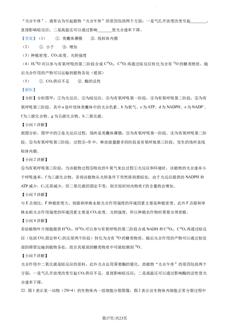 精品解析：辽宁省丹东市2023-2024学年高三11月阶段测试生物试题（解析版）(1)_2023年11月_0211月合集_2024届辽宁省丹东市高三11月总复习阶段测试