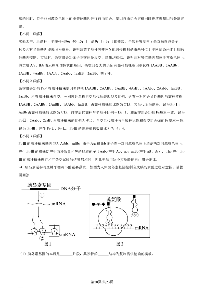 精品解析：辽宁省丹东市2023-2024学年高三11月阶段测试生物试题（解析版）(1)_2023年11月_0211月合集_2024届辽宁省丹东市高三11月总复习阶段测试